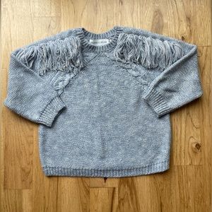 Poppy + Pima (Anthropologie Brand) Blue Sweater
